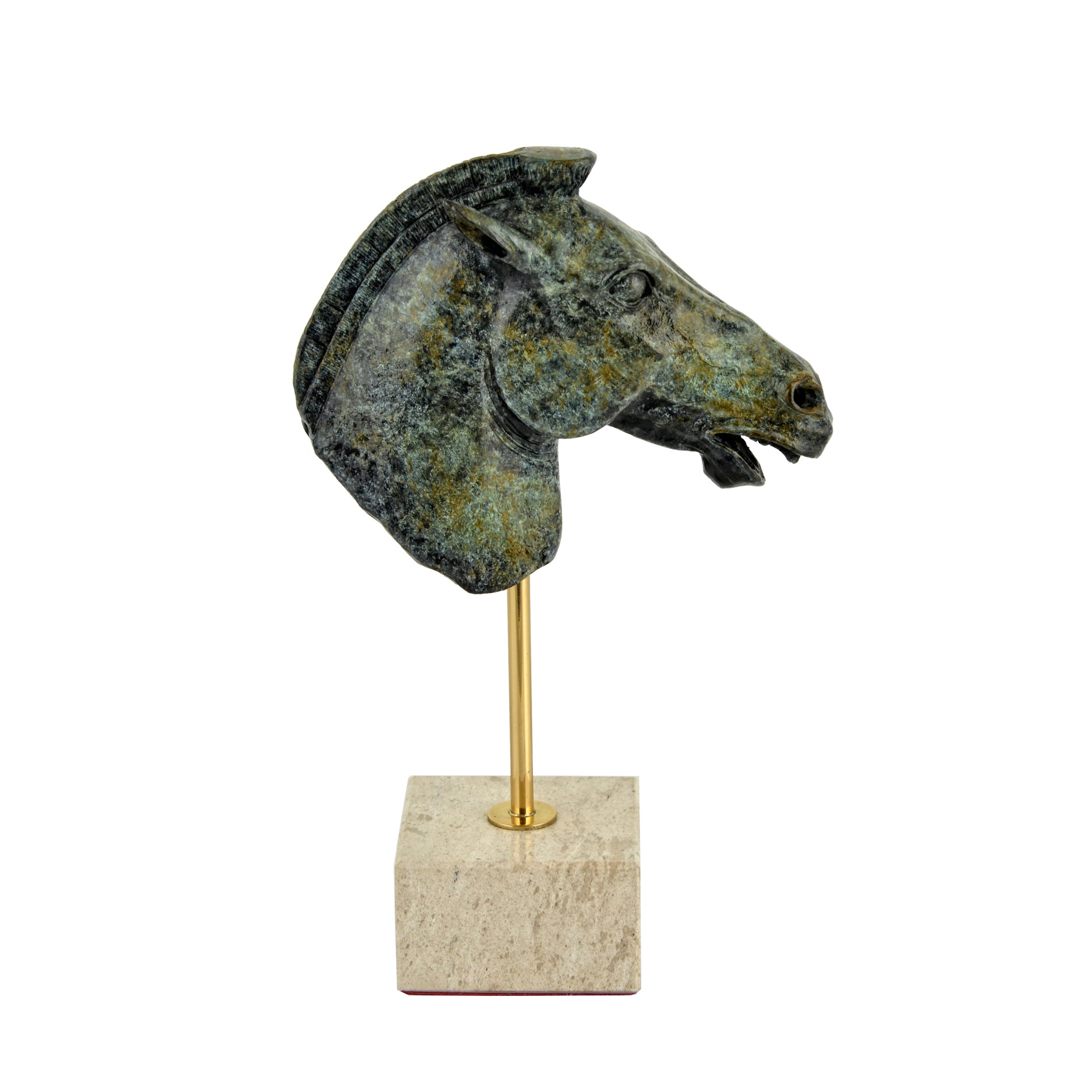 Head of a Horse