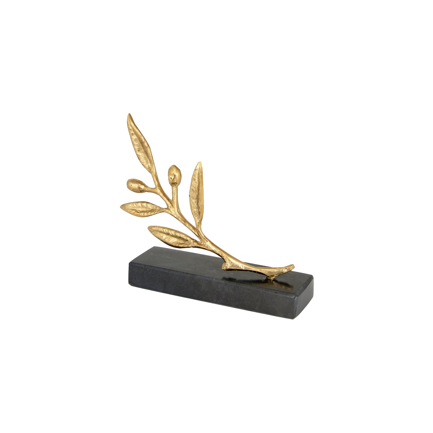Olive Branch