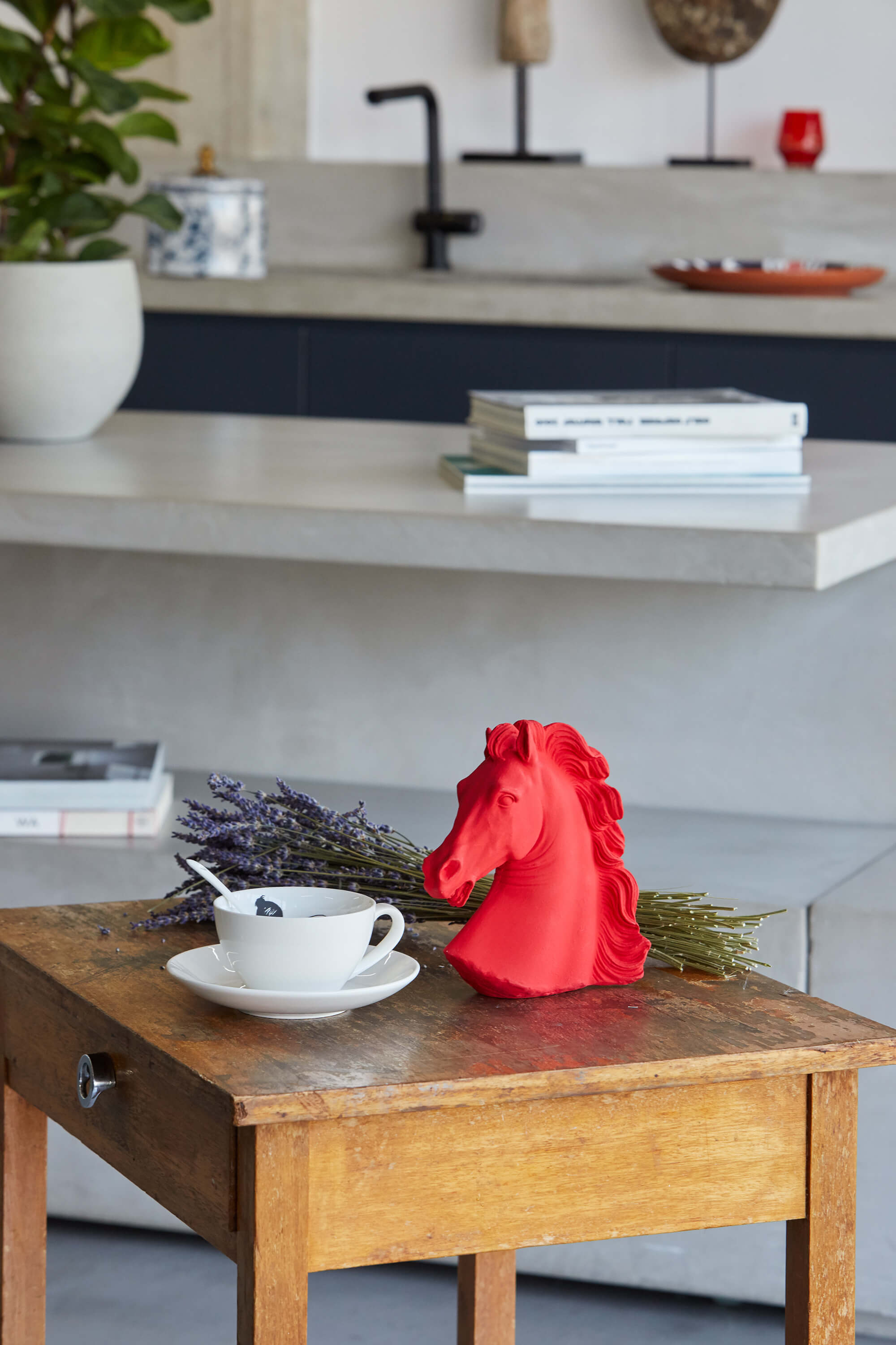 Χρωματιστό Κεφάλι Αλόγου