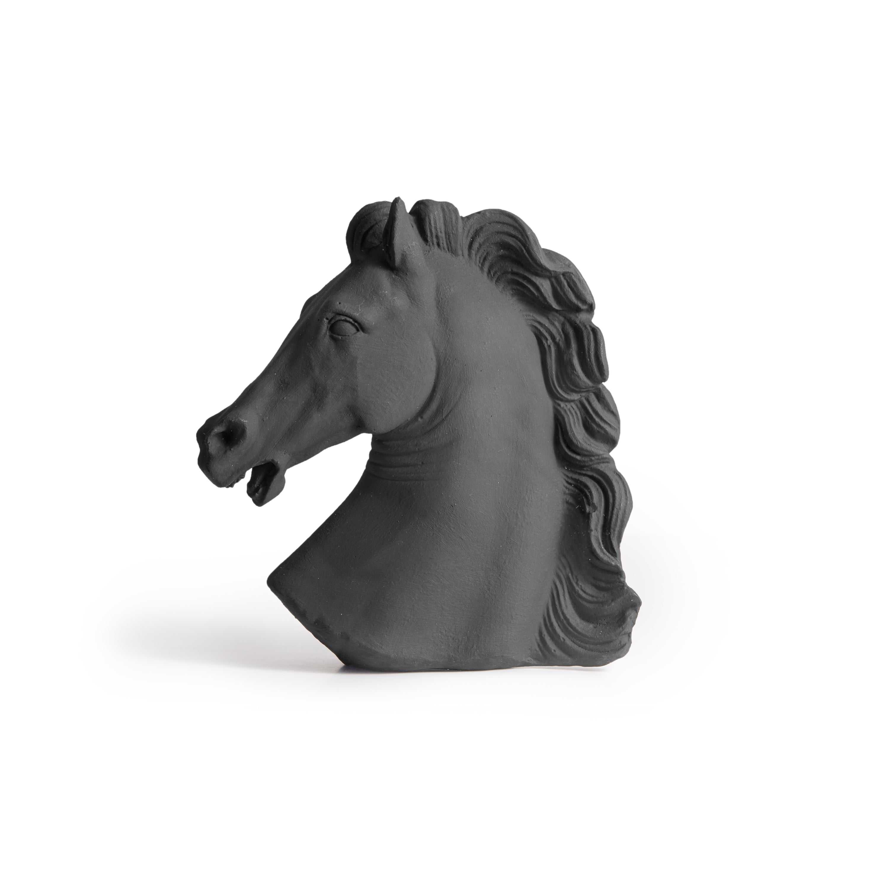 Χρωματιστό Κεφάλι Αλόγου