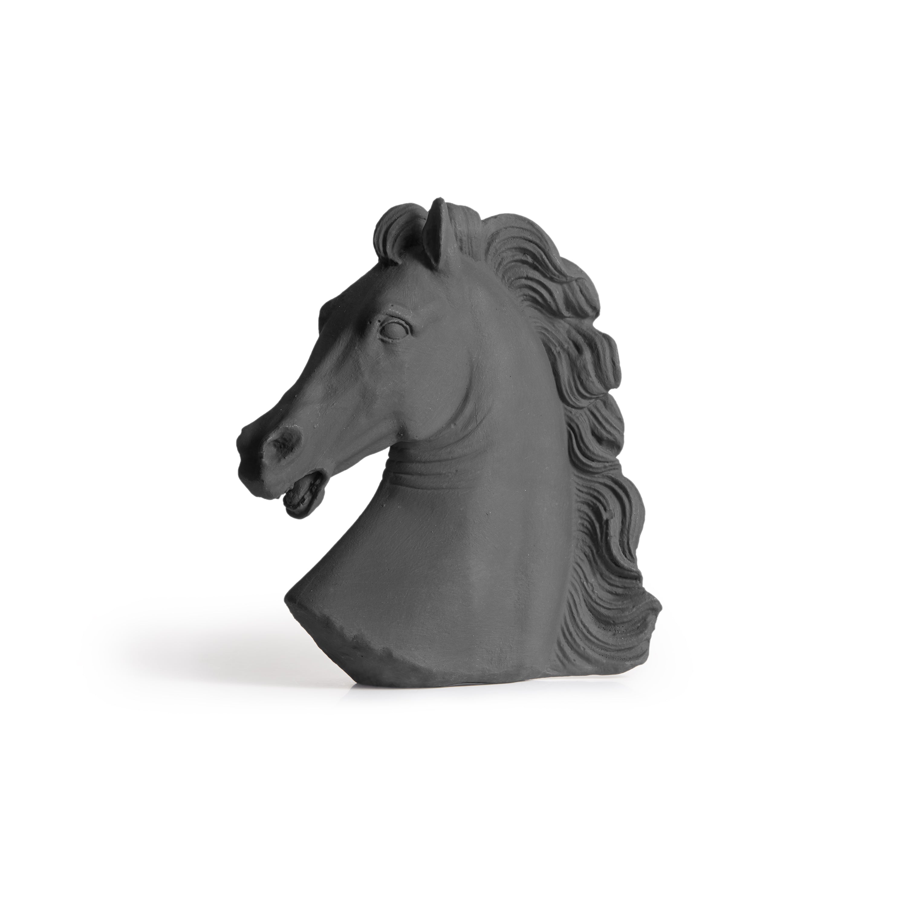 Χρωματιστό Κεφάλι Αλόγου