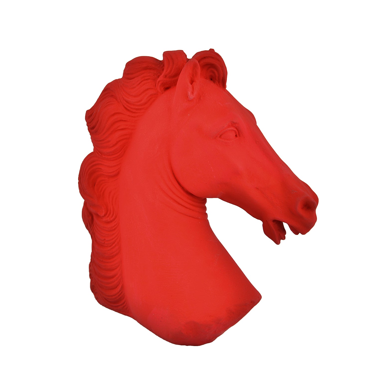 Χρωματιστό Κεφάλι Αλόγου