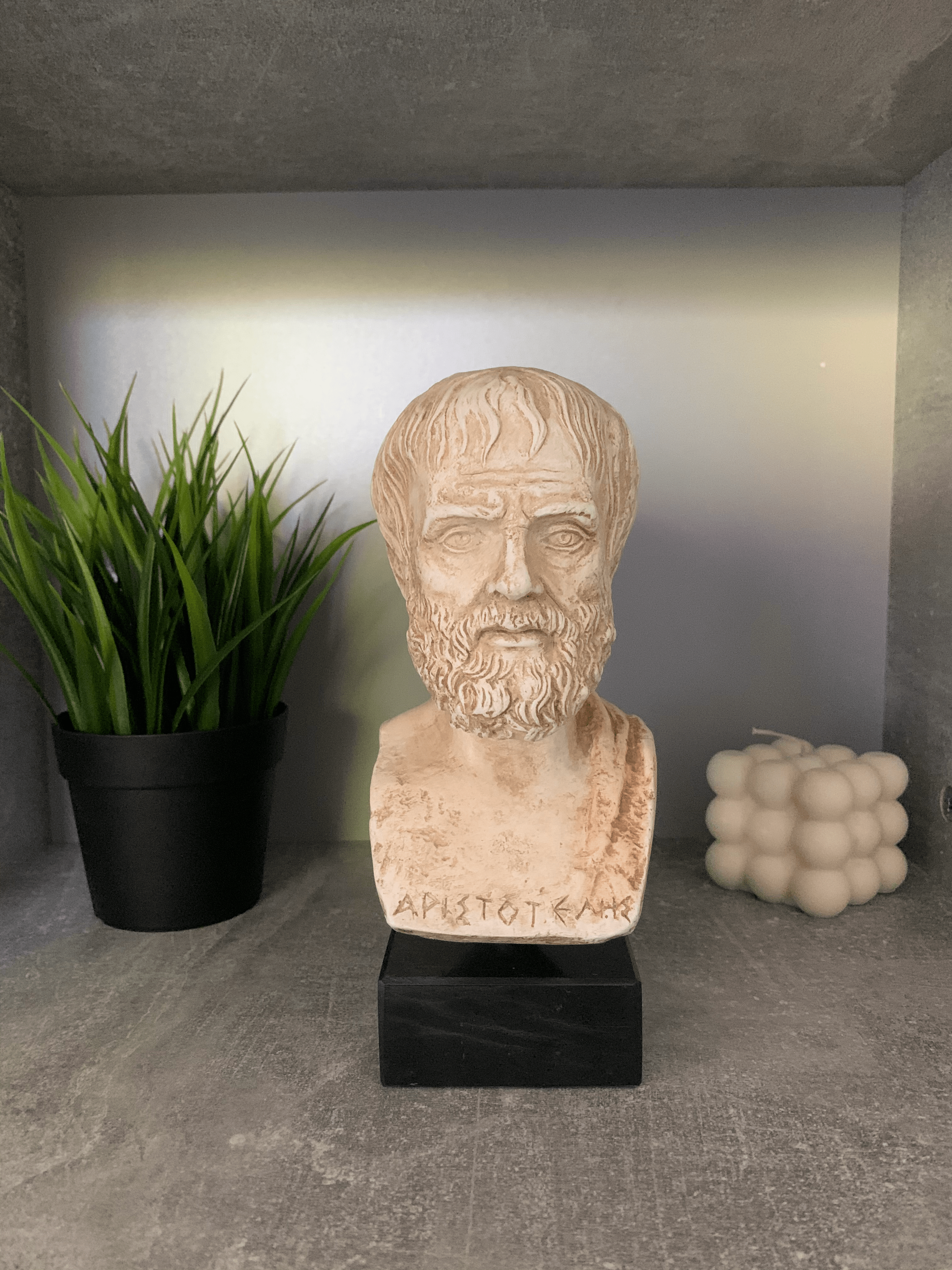 Bust of Aristotle